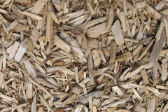 biomass boilers Myddfai